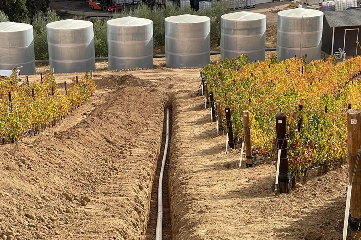 Wilber Construction utilities vinyard in paso robles, CA 1 Wilber Construction utilities vinyard in paso robles, CA 1